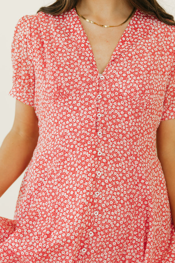 Julia Dress-Red/White